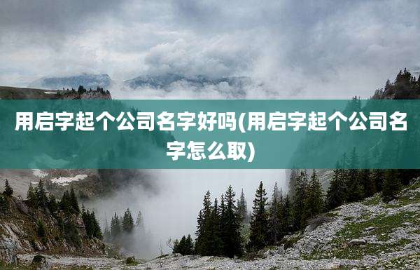 用启字起个公司名字好吗(用启字起个公司名字怎么取)