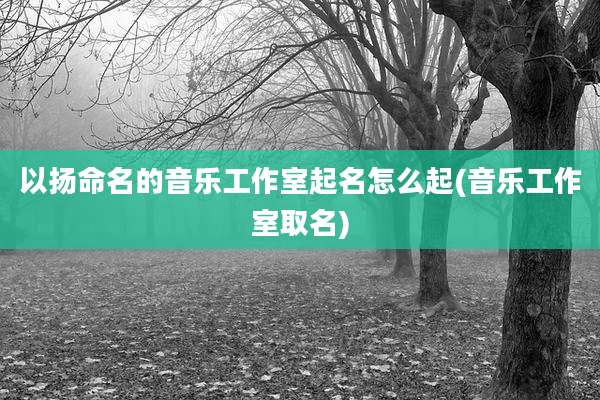 以扬命名的音乐工作室起名怎么起(音乐工作室取名)