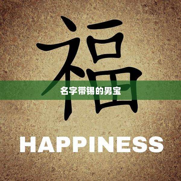 名字带锡的男宝