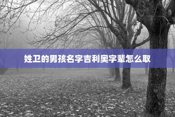 姓卫的男孩名字吉利奥字辈怎么取
