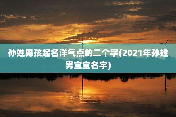 孙姓男孩起名洋气点的二个字(2021年孙姓男宝宝名字)