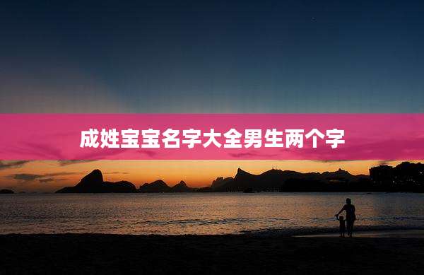 成姓宝宝名字大全男生两个字