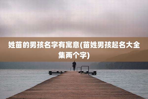姓苗的男孩名字有寓意(苗姓男孩起名大全集两个字)