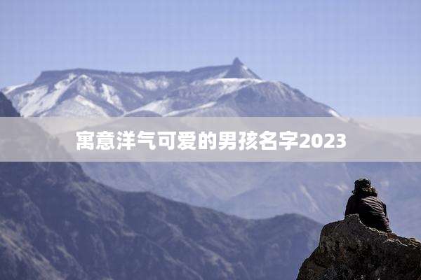 寓意洋气可爱的男孩名字2023