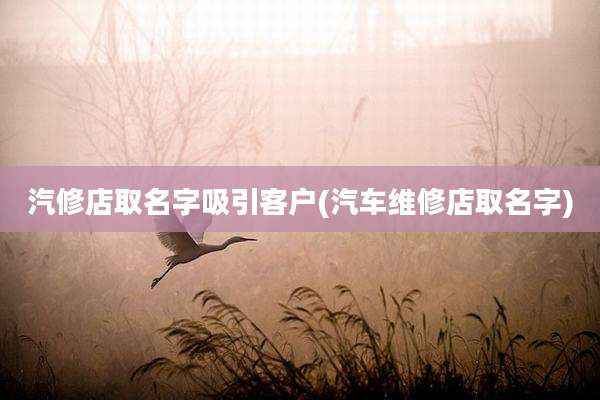 汽修店取名字吸引客户(汽车维修店取名字)