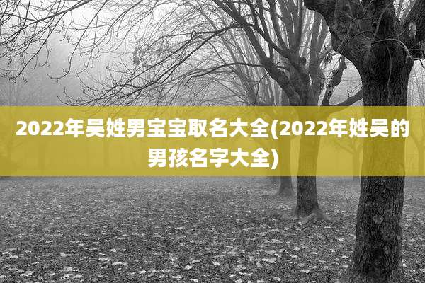 2022年吴姓男宝宝取名大全(2022年姓吴的男孩名字大全)