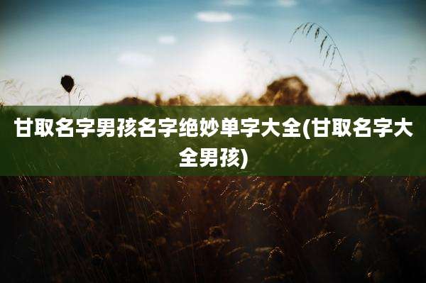 甘取名字男孩名字绝妙单字大全(甘取名字大全男孩)