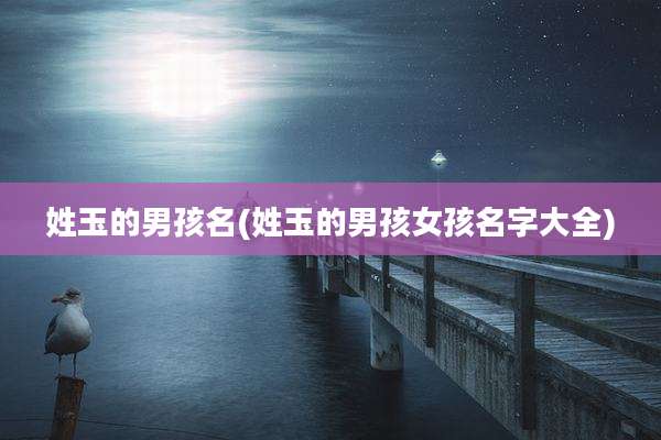 姓玉的男孩名(姓玉的男孩女孩名字大全)