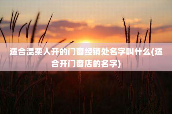 适合温柔人开的门窗经销处名字叫什么(适合开门窗店的名字)