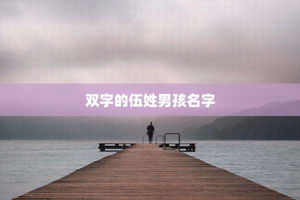 双字的伍姓男孩名字