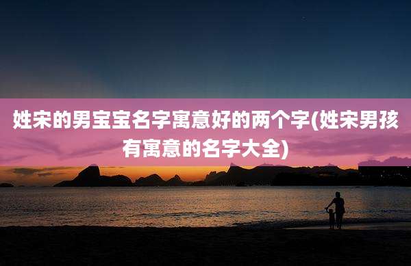 姓宋的男宝宝名字寓意好的两个字(姓宋男孩有寓意的名字大全)