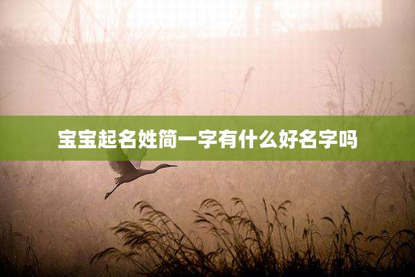 宝宝起名姓简一字有什么好名字吗