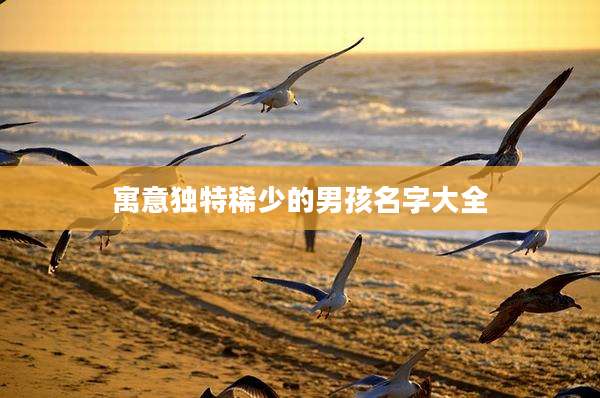 寓意独特稀少的男孩名字大全