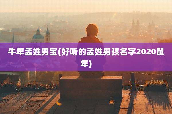 牛年孟姓男宝(好听的孟姓男孩名字2020鼠年)