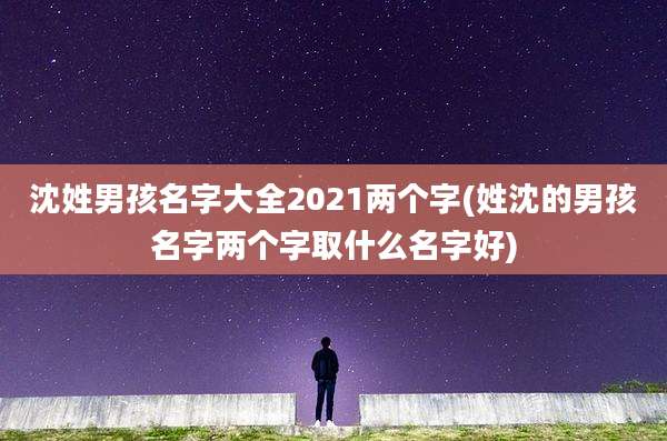 沈姓男孩名字大全2021两个字(姓沈的男孩名字两个字取什么名字好)