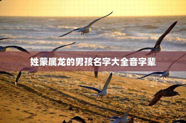 姓蒙属龙的男孩名字大全音字辈
