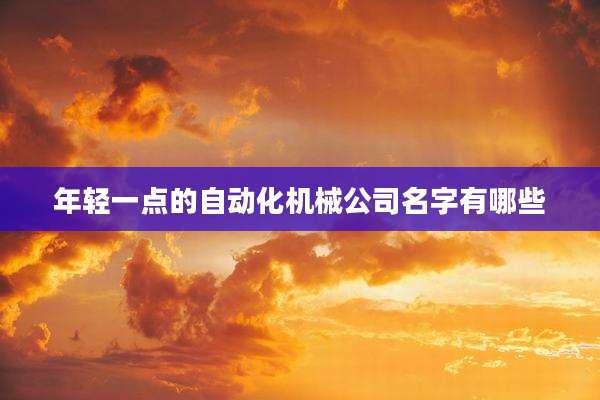 年轻一点的自动化机械公司名字有哪些