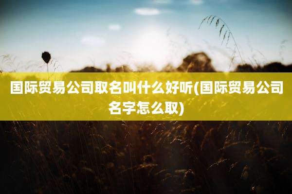 国际贸易公司取名叫什么好听(国际贸易公司名字怎么取)