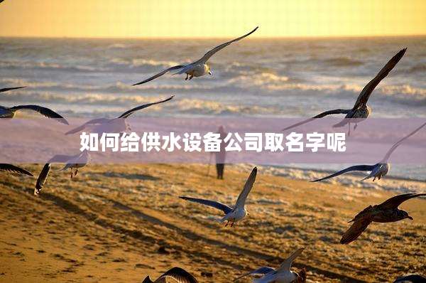 如何给供水设备公司取名字呢