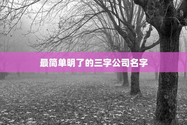 最简单明了的三字公司名字