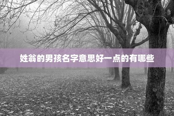 姓翁的男孩名字意思好一点的有哪些