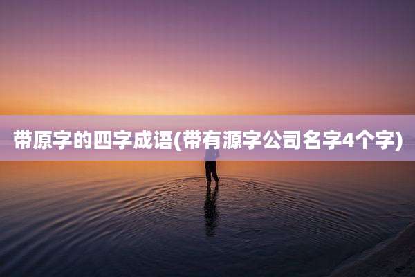 带原字的四字成语(带有源字公司名字4个字)