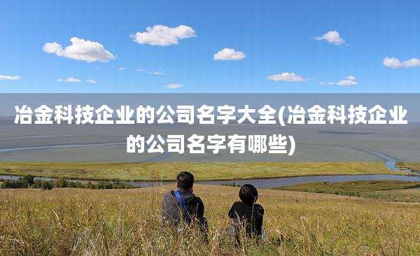 冶金科技企业的公司名字大全(冶金科技企业的公司名字有哪些)