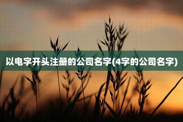 以电字开头注册的公司名字(4字的公司名字)