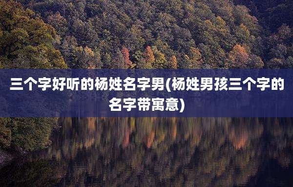 三个字好听的杨姓名字男(杨姓男孩三个字的名字带寓意)