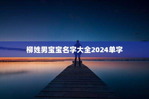 柳姓男宝宝名字大全2024单字