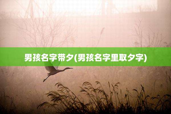 男孩名字带夕(男孩名字里取夕字)