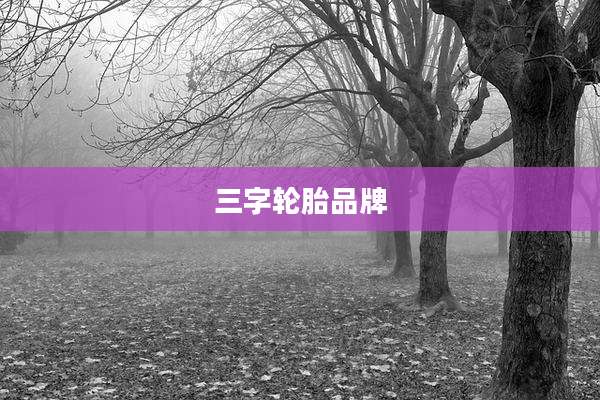 三字轮胎品牌