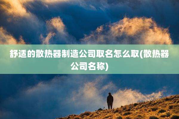 舒适的散热器制造公司取名怎么取(散热器公司名称)