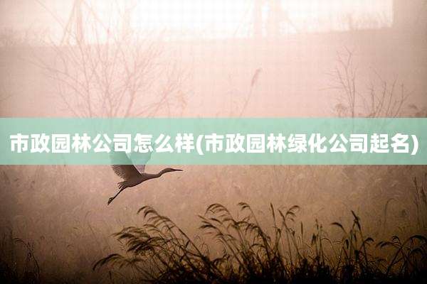 市政园林公司怎么样(市政园林绿化公司起名)