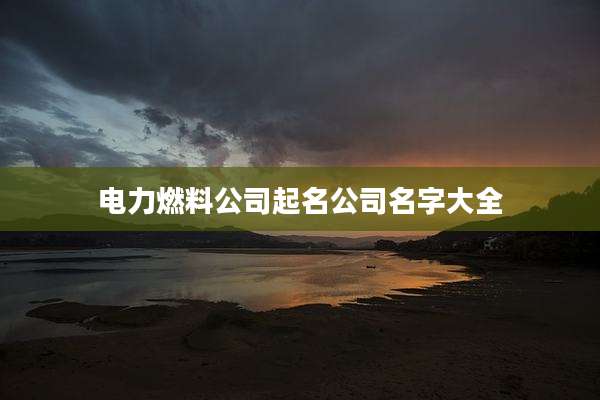 电力燃料公司起名公司名字大全