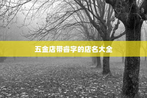 五金店带睿字的店名大全