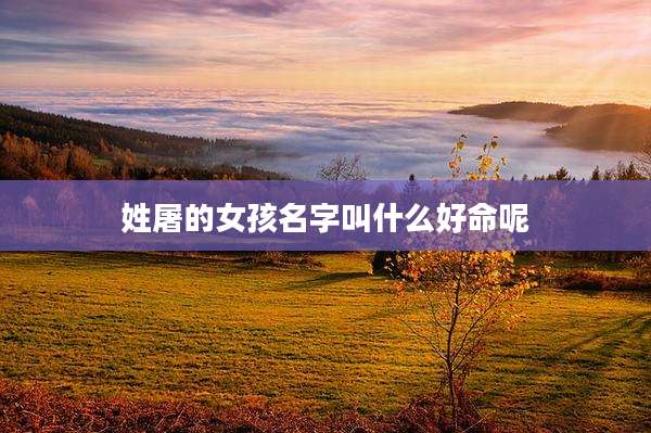 姓屠的女孩名字叫什么好命呢