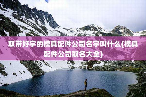 取带好字的模具配件公司名字叫什么(模具配件公司取名大全)