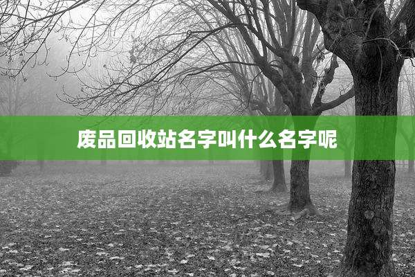 废品回收站名字叫什么名字呢