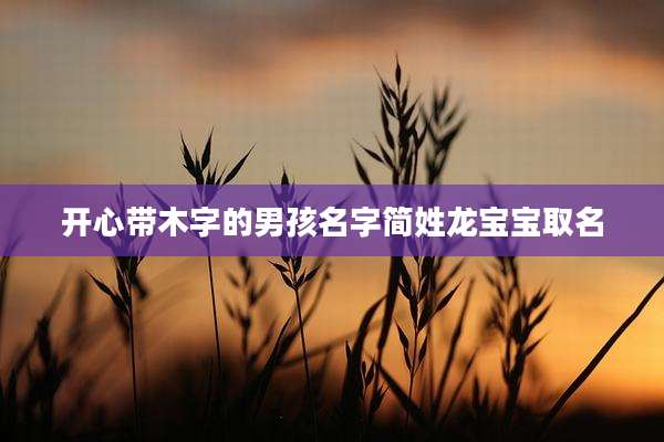 开心带木字的男孩名字简姓龙宝宝取名