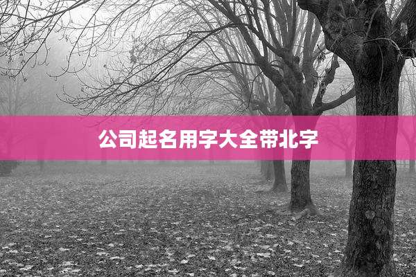 公司起名用字大全带北字