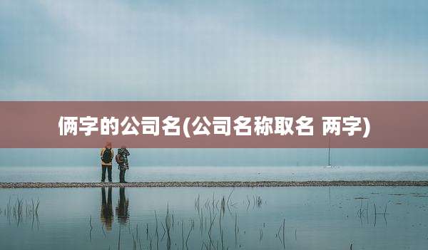 俩字的公司名(公司名称取名 两字)