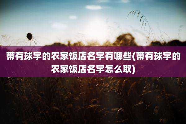 带有球字的农家饭店名字有哪些(带有球字的农家饭店名字怎么取)