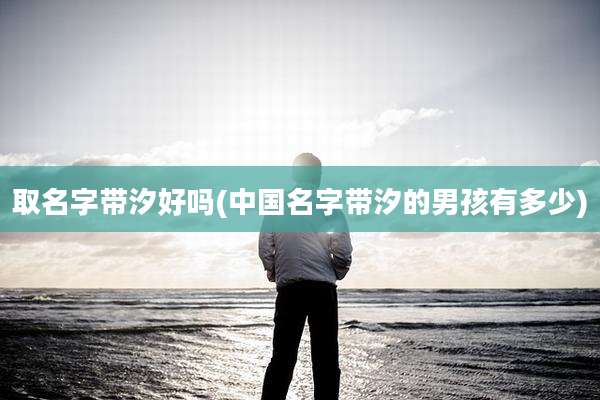 取名字带汐好吗(中国名字带汐的男孩有多少)