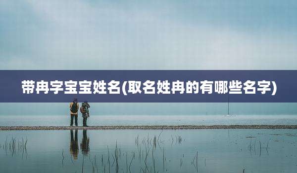 带冉字宝宝姓名(取名姓冉的有哪些名字)