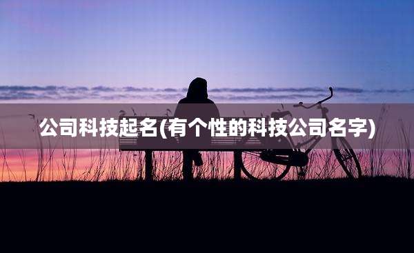 公司科技起名(有个性的科技公司名字)