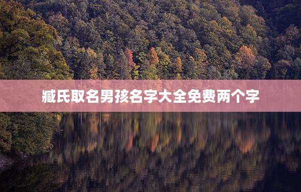 臧氏取名男孩名字大全免费两个字