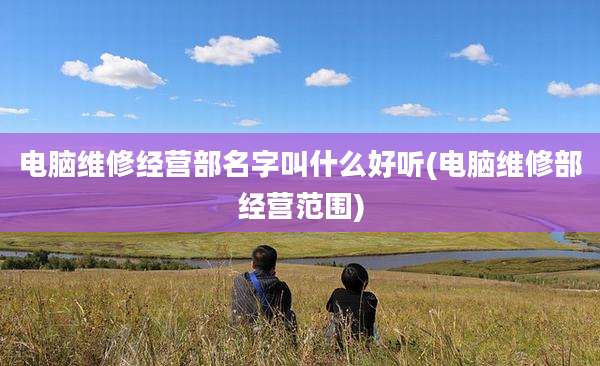 电脑维修经营部名字叫什么好听(电脑维修部经营范围)