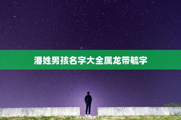 潘姓男孩名字大全属龙带毓字