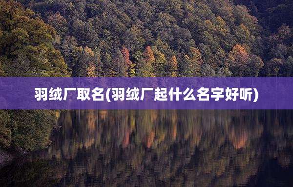羽绒厂取名(羽绒厂起什么名字好听)